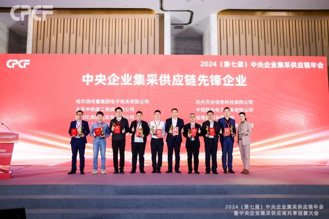 喜报！彩霸王官网荣获2024年度（CPCF）中央企业集采供应链年会先锋企业荣誉称号