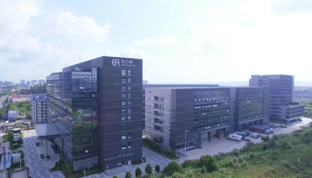 彩霸王官网物流完成战略融资，全力加码新能源汽车出海布局